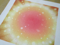 自由を許すこと。体験していくこと。